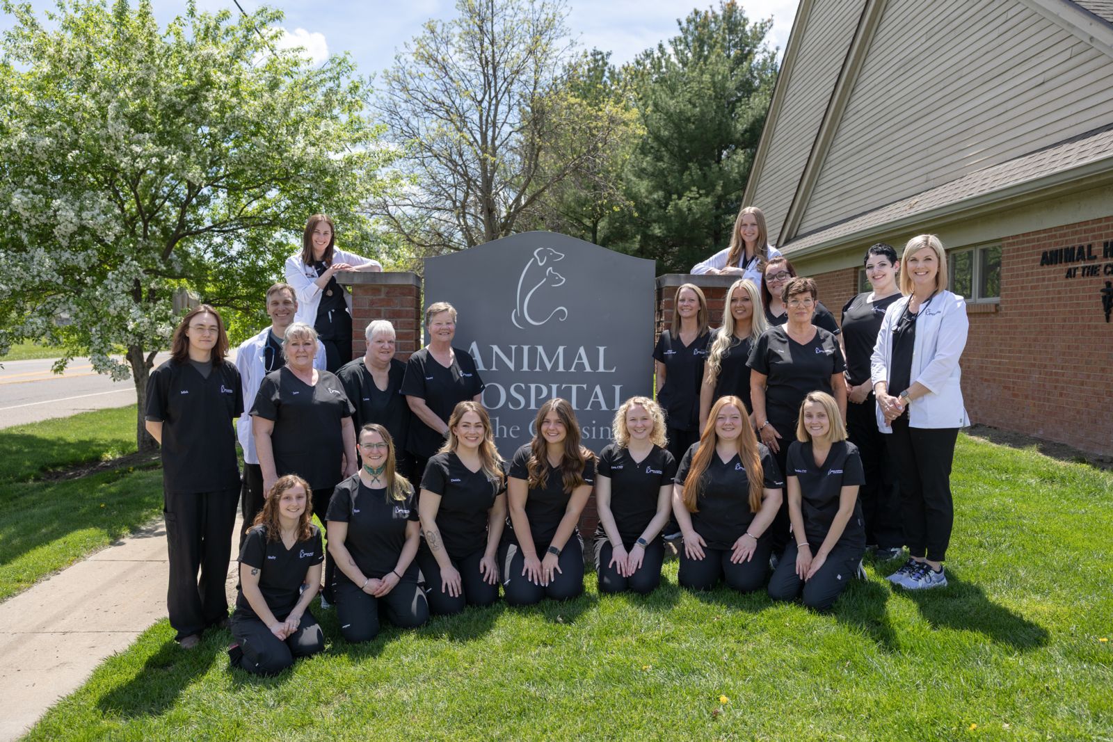 Dog + Cat Veterinarians